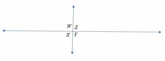 Vertical Angles 4