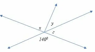 Vertical Angles 7