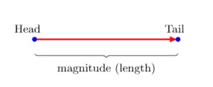 Introduction to vectors Vectors Magnitude