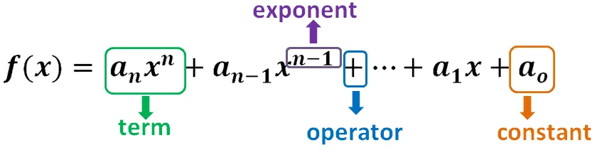 components of polynomial functions