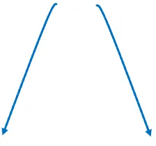 polynomial function with an even degree and a negative coefficient