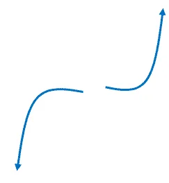 polynomial function with an odd degree and a positive coefficient