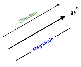 vector definition