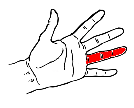 Unit Circle Memorization Finger Trick