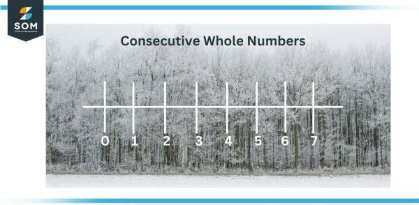 Consecutive Numbers Definition Meaning   Consecutive Whole Numbers 600x294 