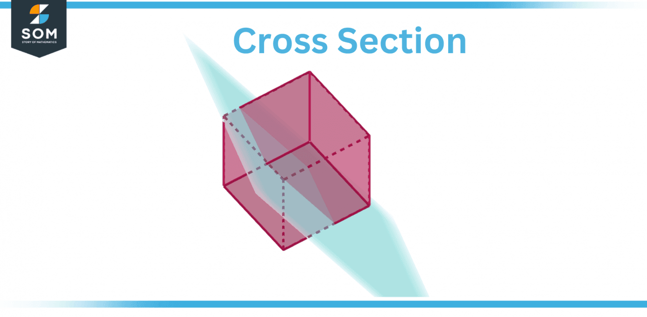 cross-section-definition-meaning