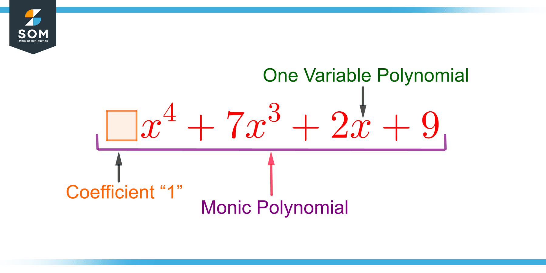 Monic Polynomial | Definition & Meaning