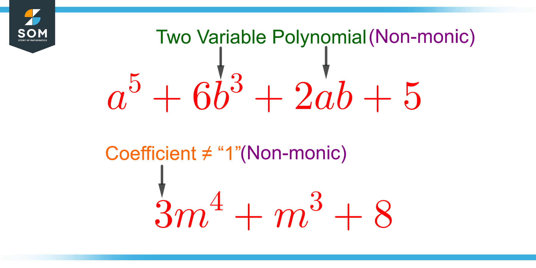 Monic Polynomial | Definition & Meaning