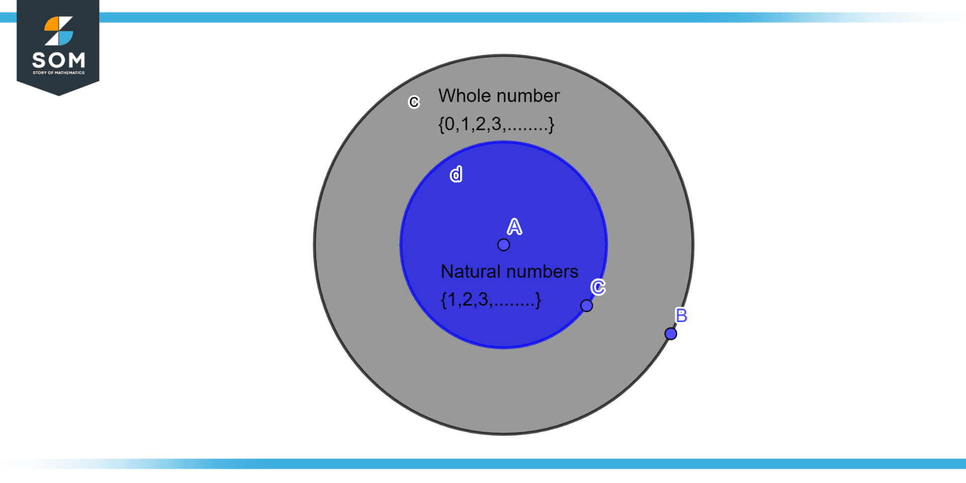 whole-number-definition-meaning