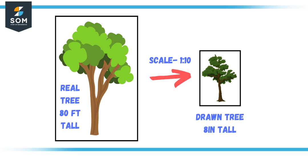 scale-definition-meaning