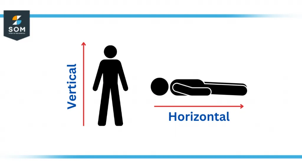 verticle and horizontal