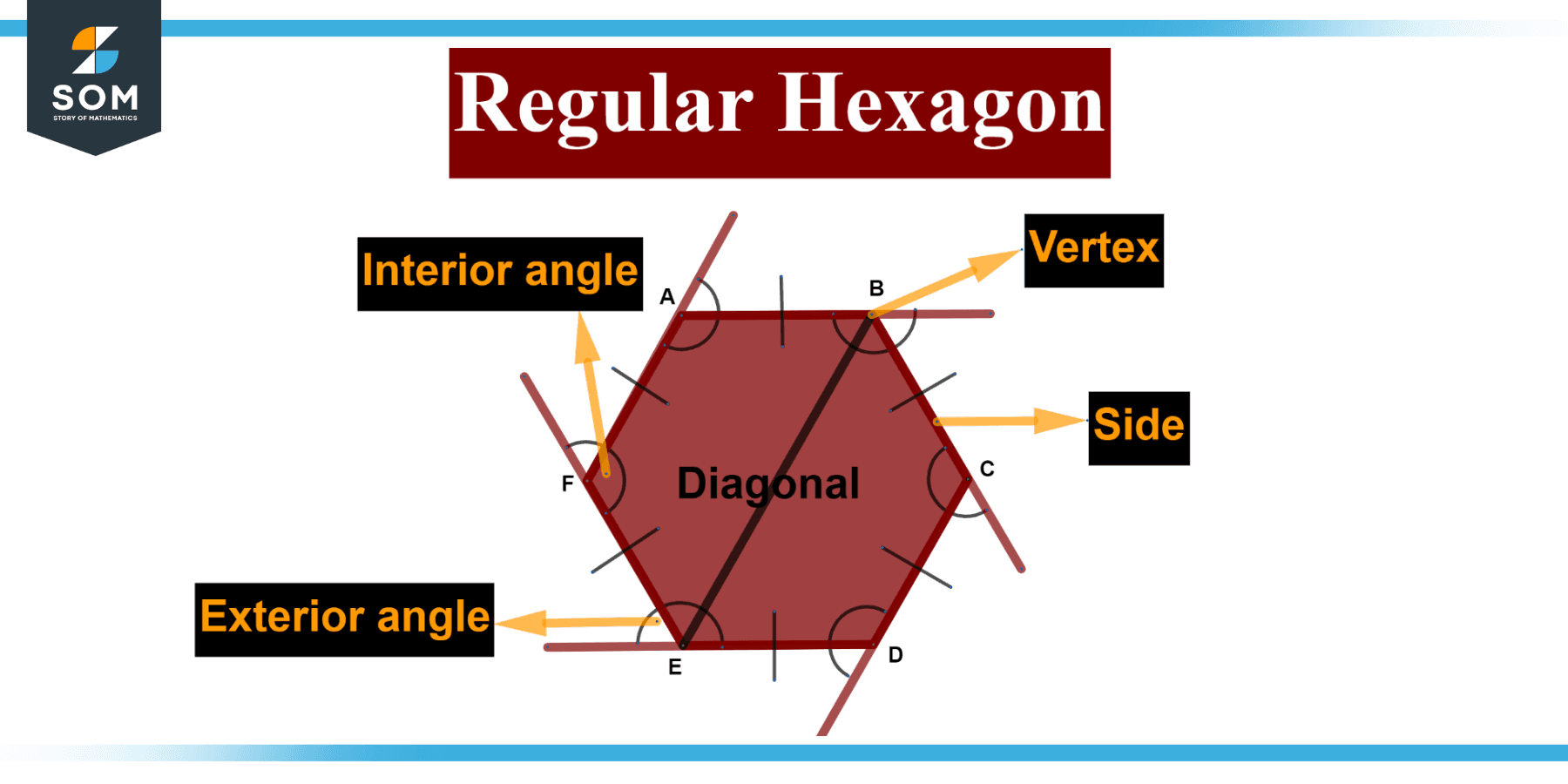 Regular Polygon | Definition & Meaning