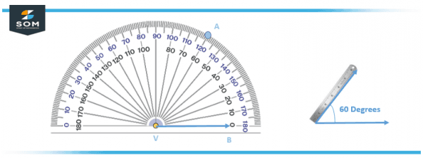 Protractor | Definition & Meaning