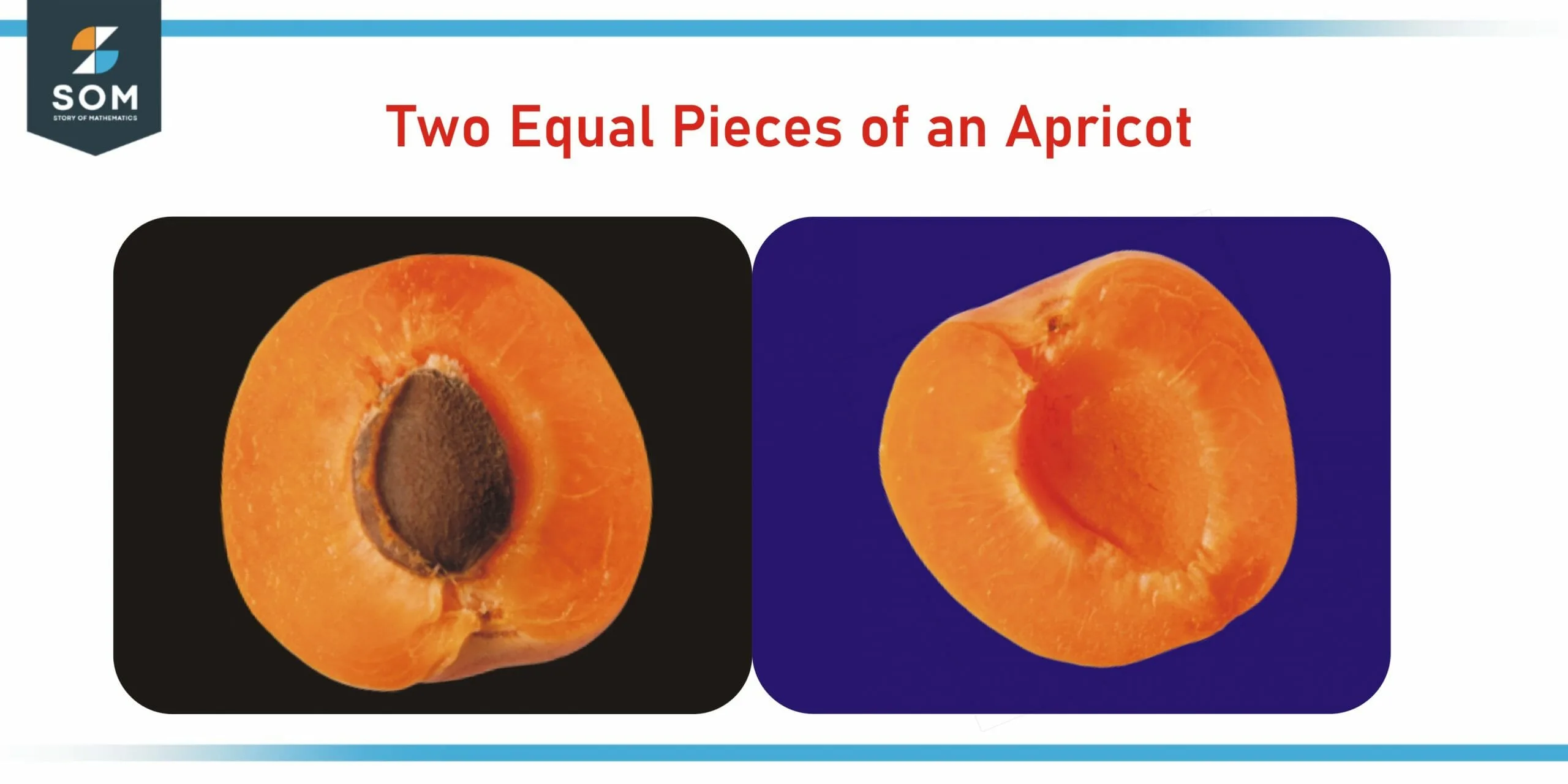 pieces of apricot scaled