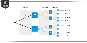 Coin Flip Probability – Explanation & Examples