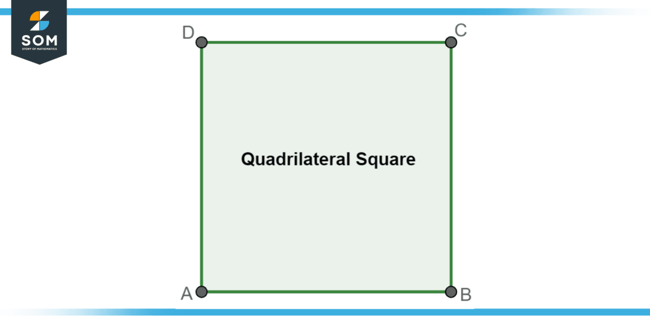 Quadrilateral Square - Definition, Properties, and Examples