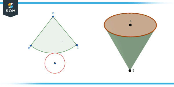 Cone Net - Definition, Properties, and Examples